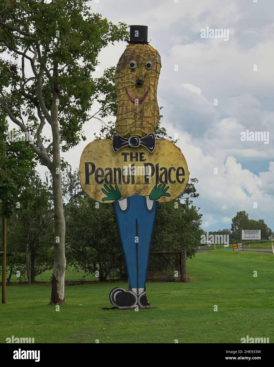 Le Big Peanut à Tolga, Atherton Tablelands Banque D'Images