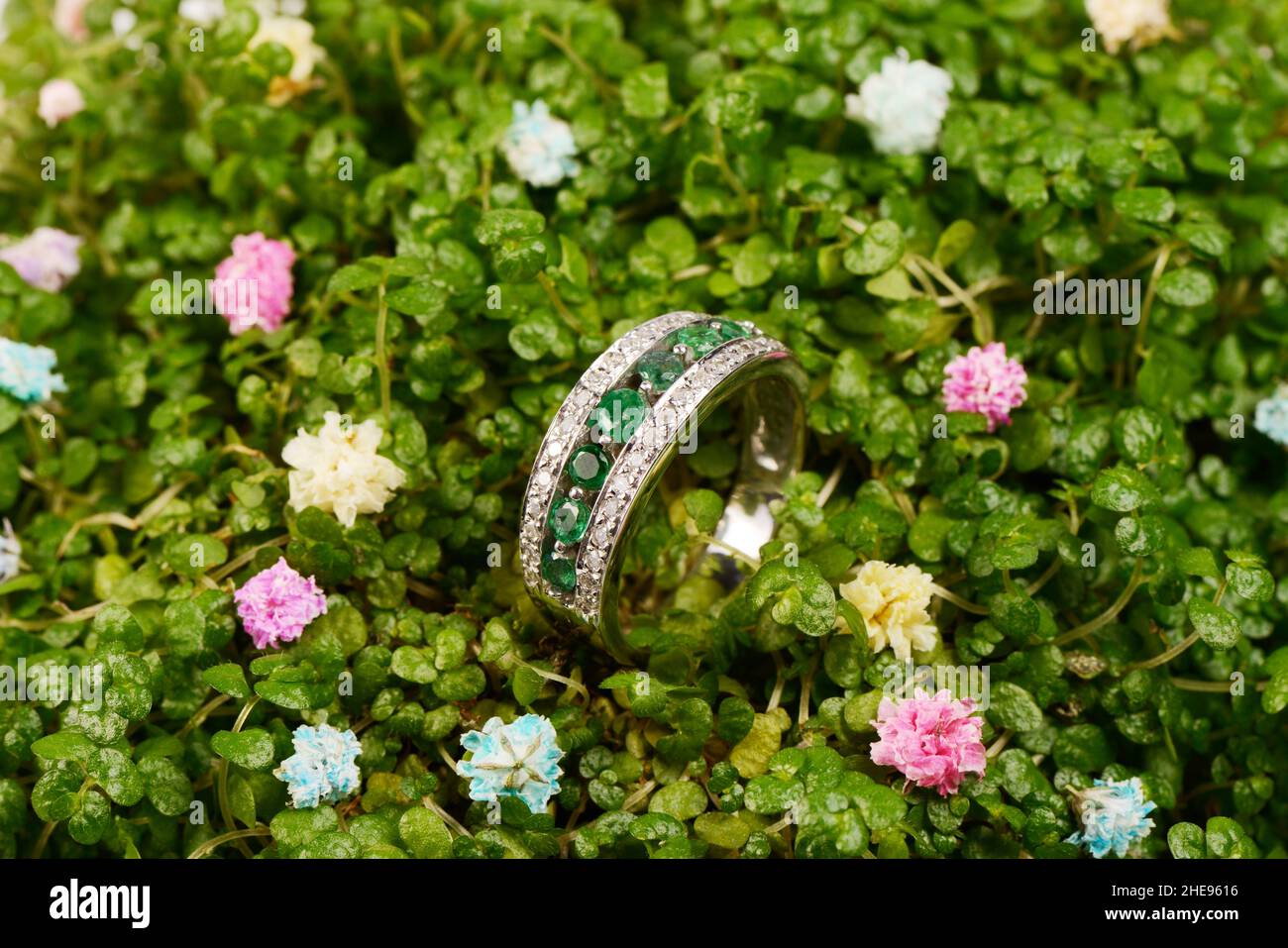 Bague en platine pour femmes avec diamants et pierres émeraude bleu précieux sur fond de feuilles micro-vertes et bois poli, gros plan.Femme de luxe j Banque D'Images