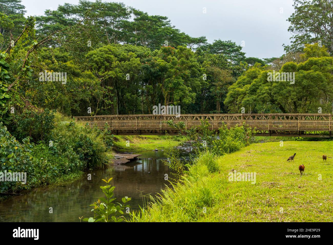 Pont Keahua Stream près de l'arboretum Keahua sur l'île de Kauai, Hawaï Banque D'Images