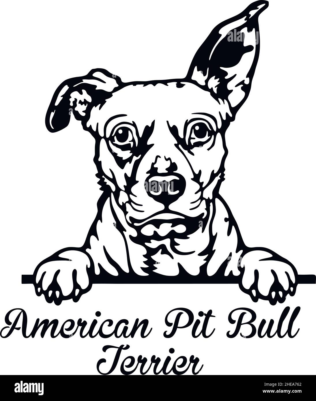 American Pit Bull Terrier Peeking Dog - tête isolée sur blanc - vecteur Illustration de Vecteur