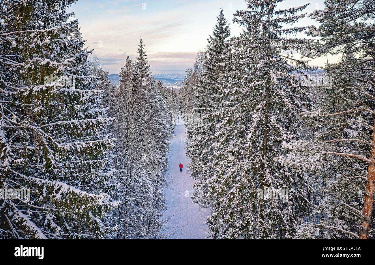 Vue aérienne en haut de la forêt enneigée avec route d'hiver et homme en veste rouge.Paysage de photographie de drone.Vue de dessus. Banque D'Images
