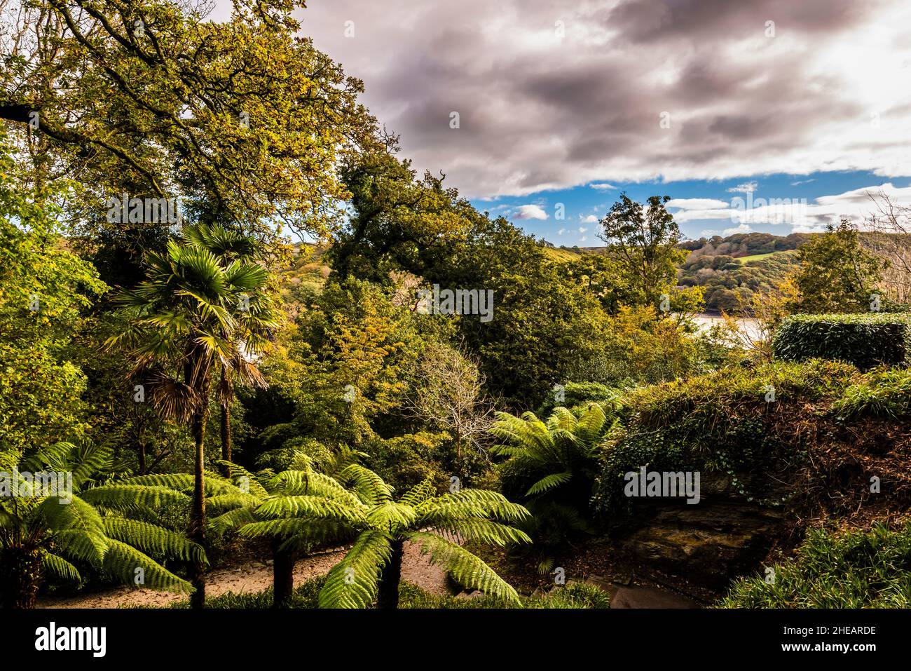 Vue sur la rivière FAL depuis Treliswick Gardens, près de Truro, Cornwall, Royaume-Uni Banque D'Images