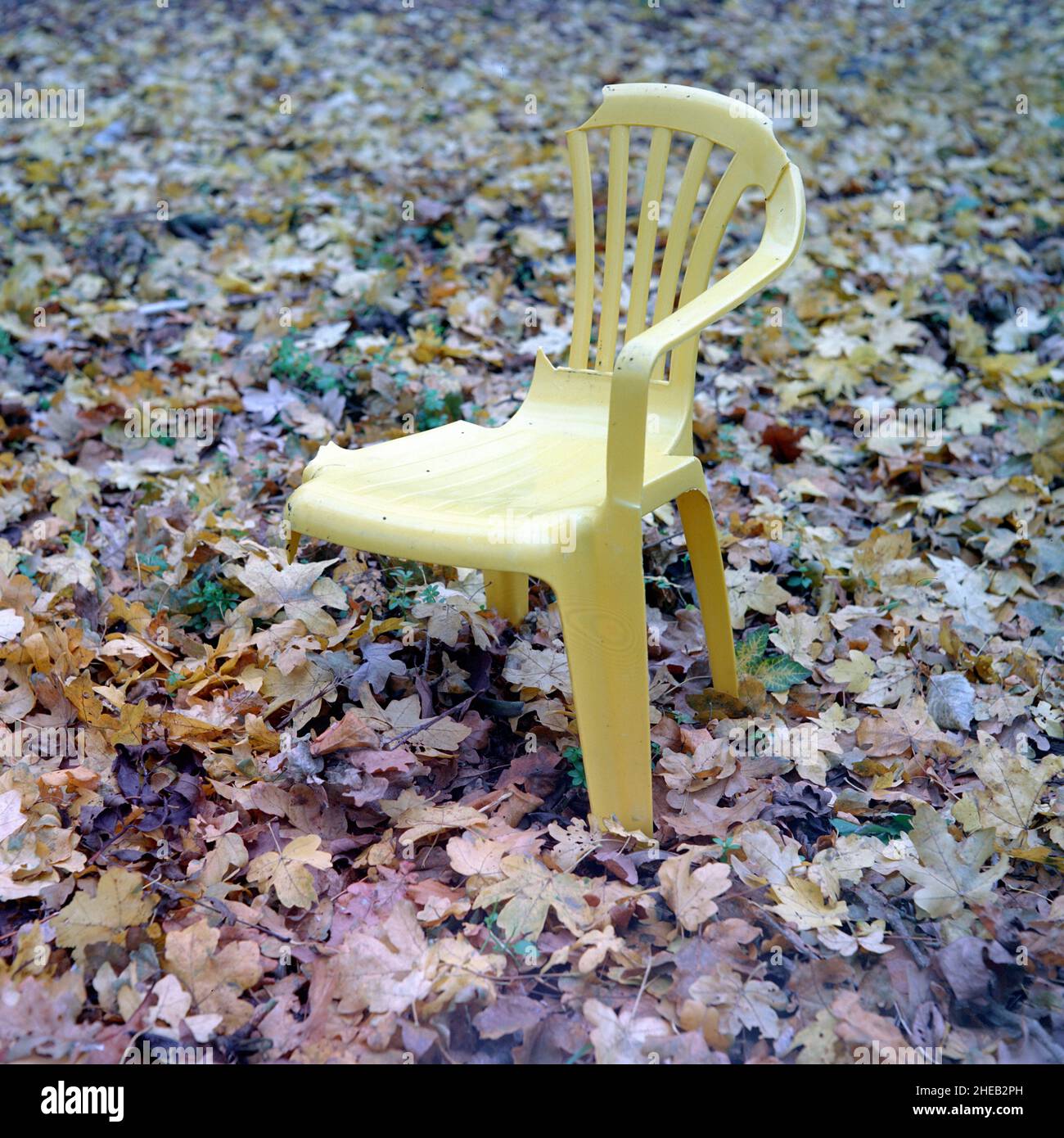 chaise en plastique jaune endommagée abandonnée dans les bois jaune feuilles de fond Banque D'Images