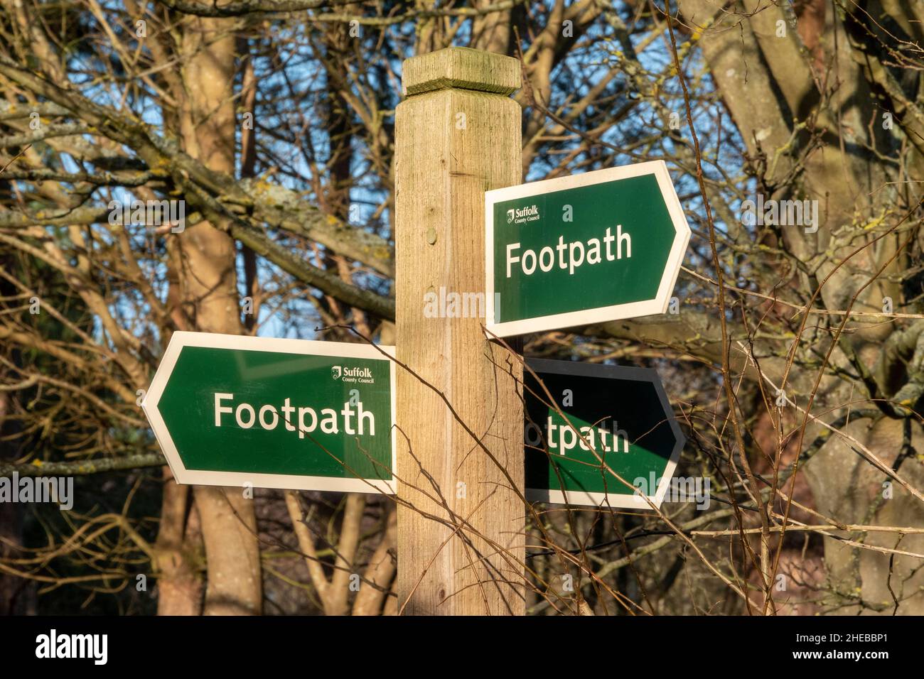 Panneau de chemin de pied à trois directions avec flèches en plastique et poteau en bois Banque D'Images