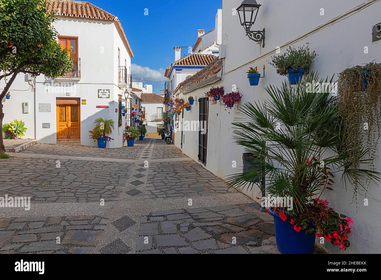 ESTEPONA COSTA DEL SOL ANDALOUSIE ESPAGNE ESCALINATA SIRENA MAISONS BLANCHES DE FLEURS COLORÉES EN POTS ET ORANGE ARBRE Banque D'Images