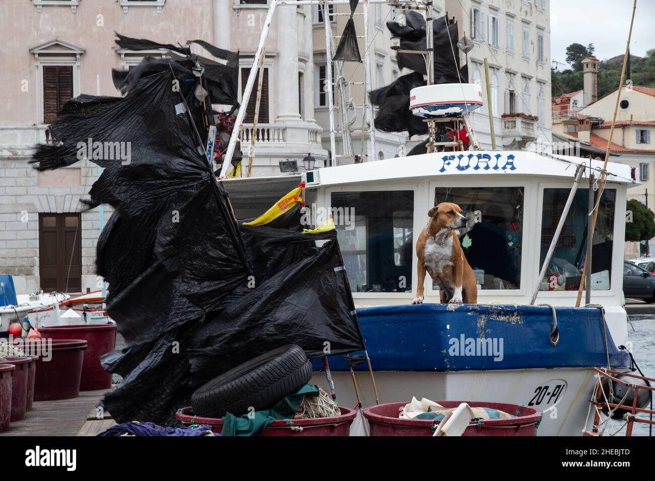 Piran (Pirano) est une ville du sud-ouest de la Slovénie sur le golfe de Piran sur la mer Adriatique.C'est l'une des trois grandes villes de l'Istrie slovène.TH Banque D'Images