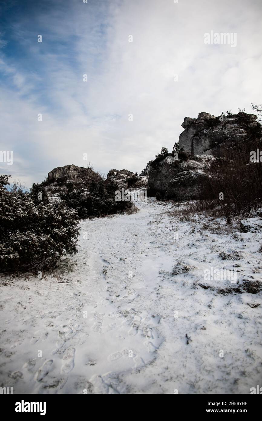 Chemin entre rochers et plantes couvertes de neige, paysage hivernal enneigé avec rochers, plantes et ciel nuageux Banque D'Images
