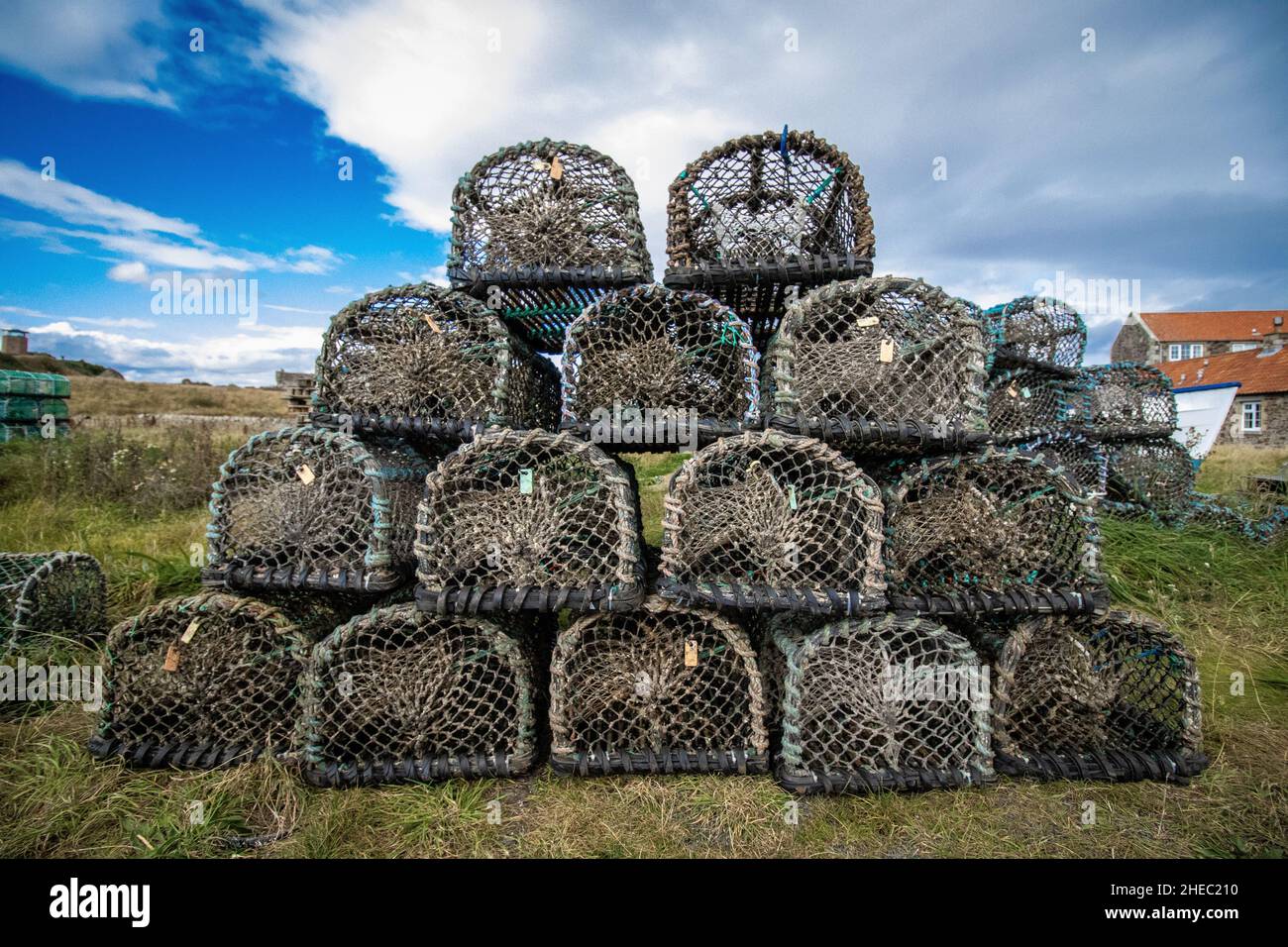 Pots de homard en bord de mer Banque D'Images