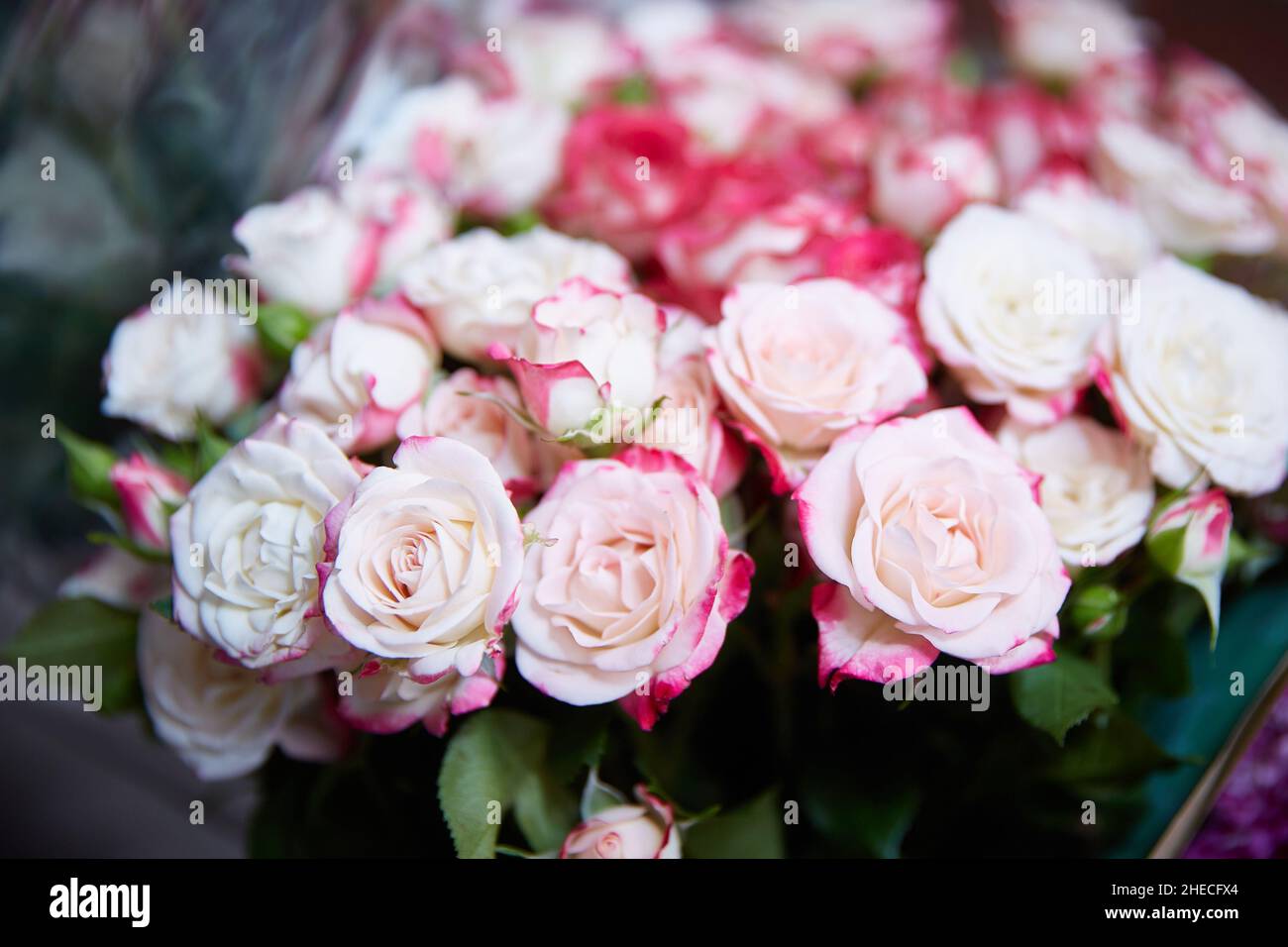 gros bouquet de roses roses Banque D'Images