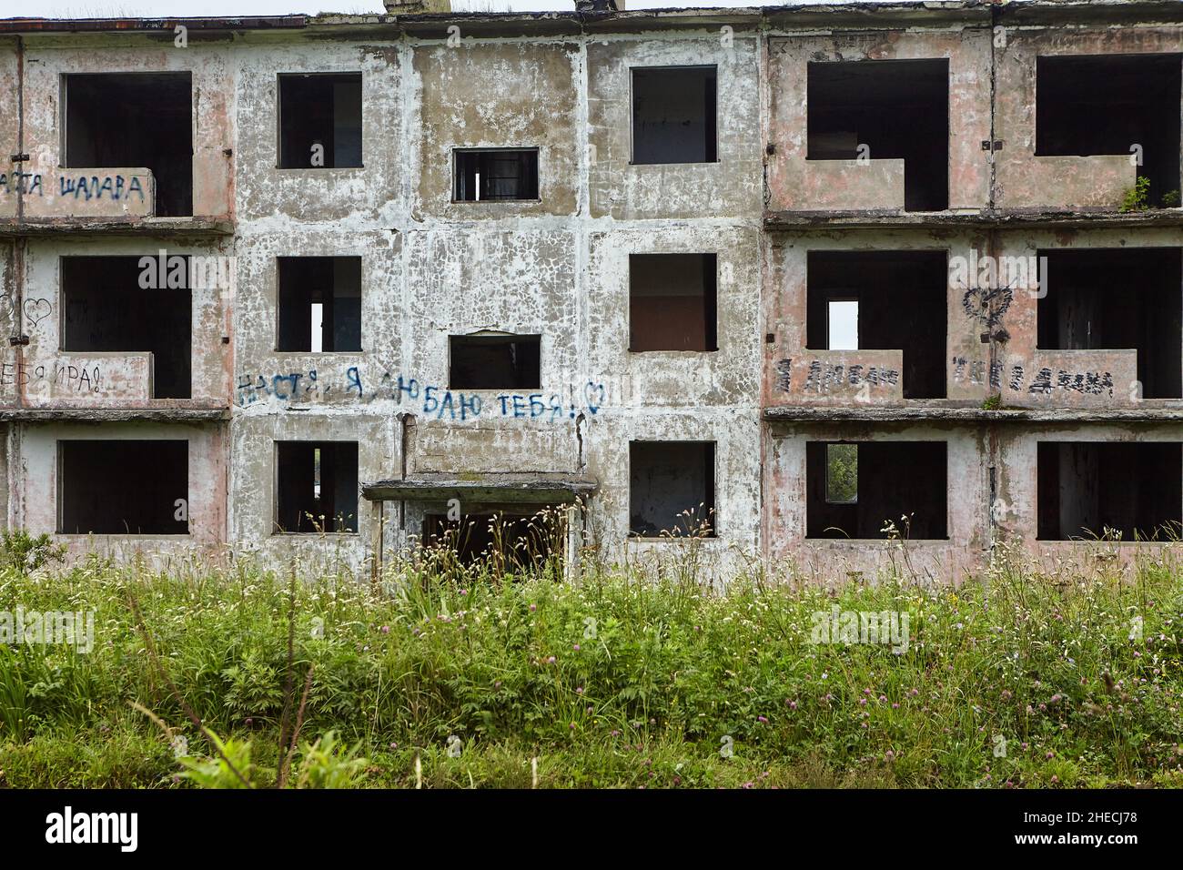 Façade d'une maison abandonnée de 3 étages avec arbres en pleine croissance juste au-dessus du bâtiment. Banque D'Images