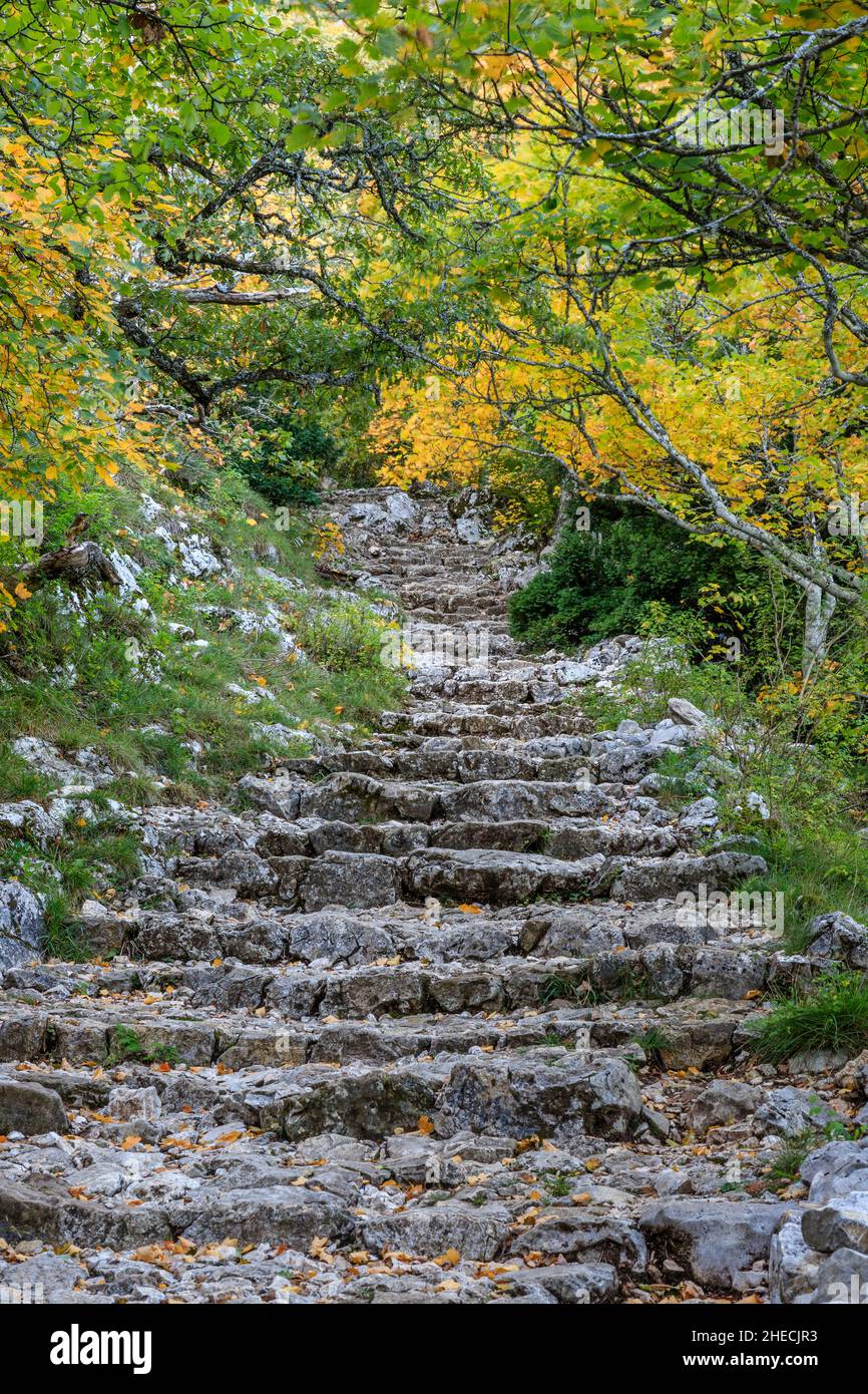 France, Var, Parc naturel régional de Sainte Baume, sentier dans le massif de la Sainte Baume, montée au col de Saint-Pilon // France, Var (83), Parc nature Banque D'Images