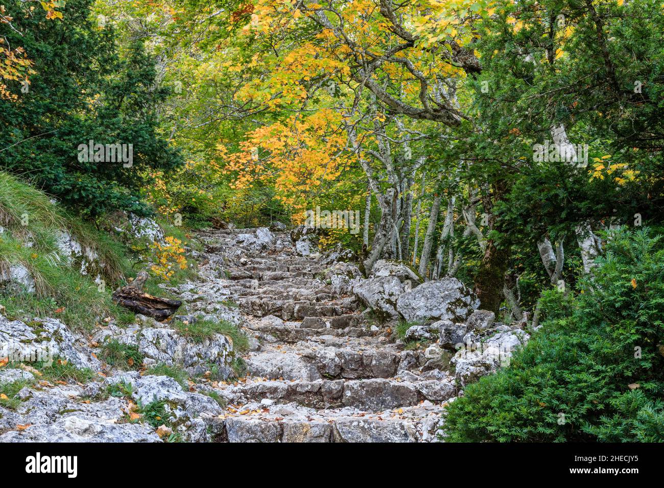 France, Var, Parc naturel régional de Sainte Baume, sentier dans le massif de la Sainte Baume, montée au col de Saint-Pilon // France, Var (83), Parc nature Banque D'Images