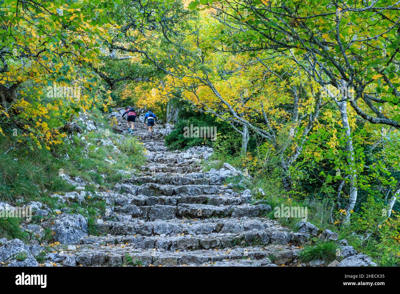 France, Var, Parc naturel régional de Sainte Baume, randonneurs dans le massif de la Sainte Baume, montée au col de Saint-Pilon // France, Var (83), Parc naturel Banque D'Images