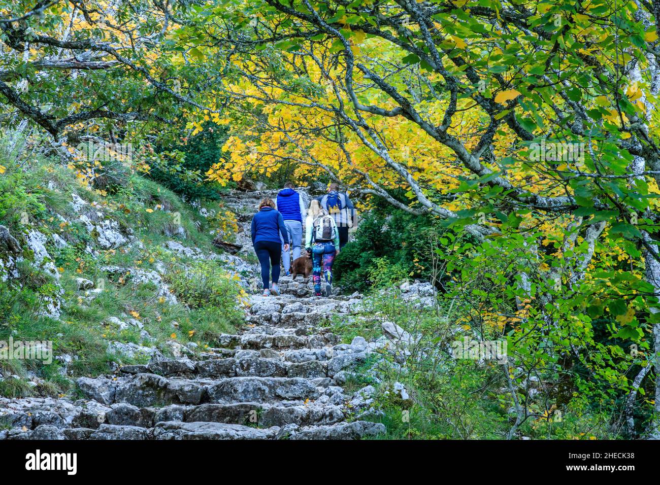 France, Var, Parc naturel régional de Sainte Baume, randonneurs dans le massif de la Sainte Baume, montée au col de Saint-Pilon // France, Var (83), Parc naturel Banque D'Images