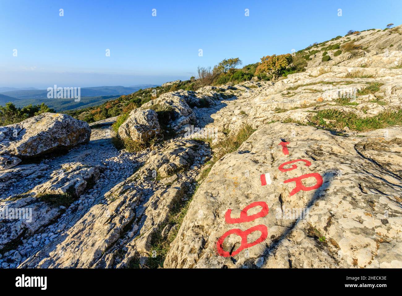 France, Var, Parc naturel régional de Sainte Baume, massif de la Sainte Baume, GR 98 sentier au col de Saint-Pillon // France, Var (83), Parc naturel régional Banque D'Images