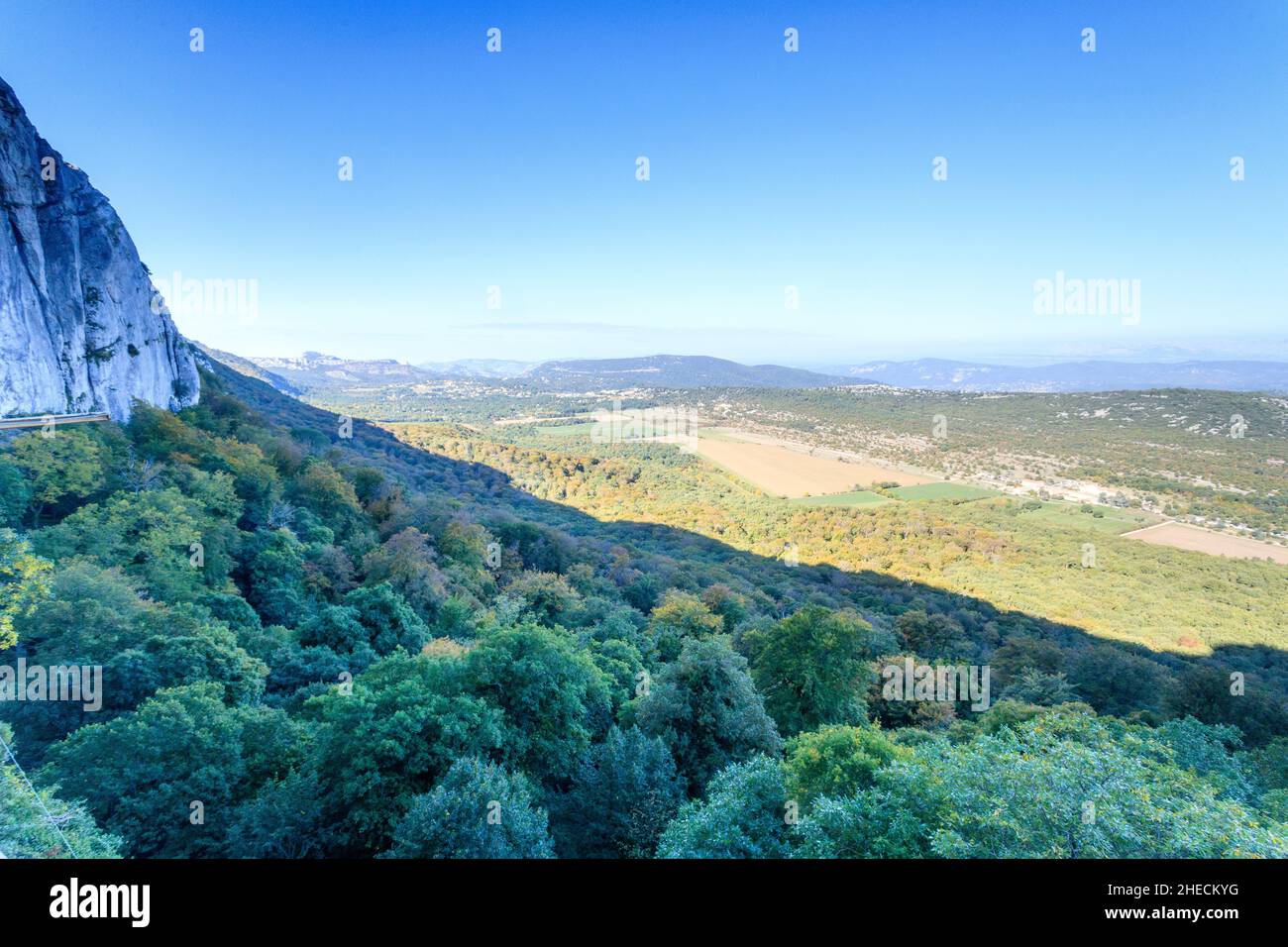 France, Var, Parc naturel régional de Sainte Baume, massif de la Sainte Baume, bois de hêtre relique sur le versant nord du massif // France, Var (83), Parc Banque D'Images