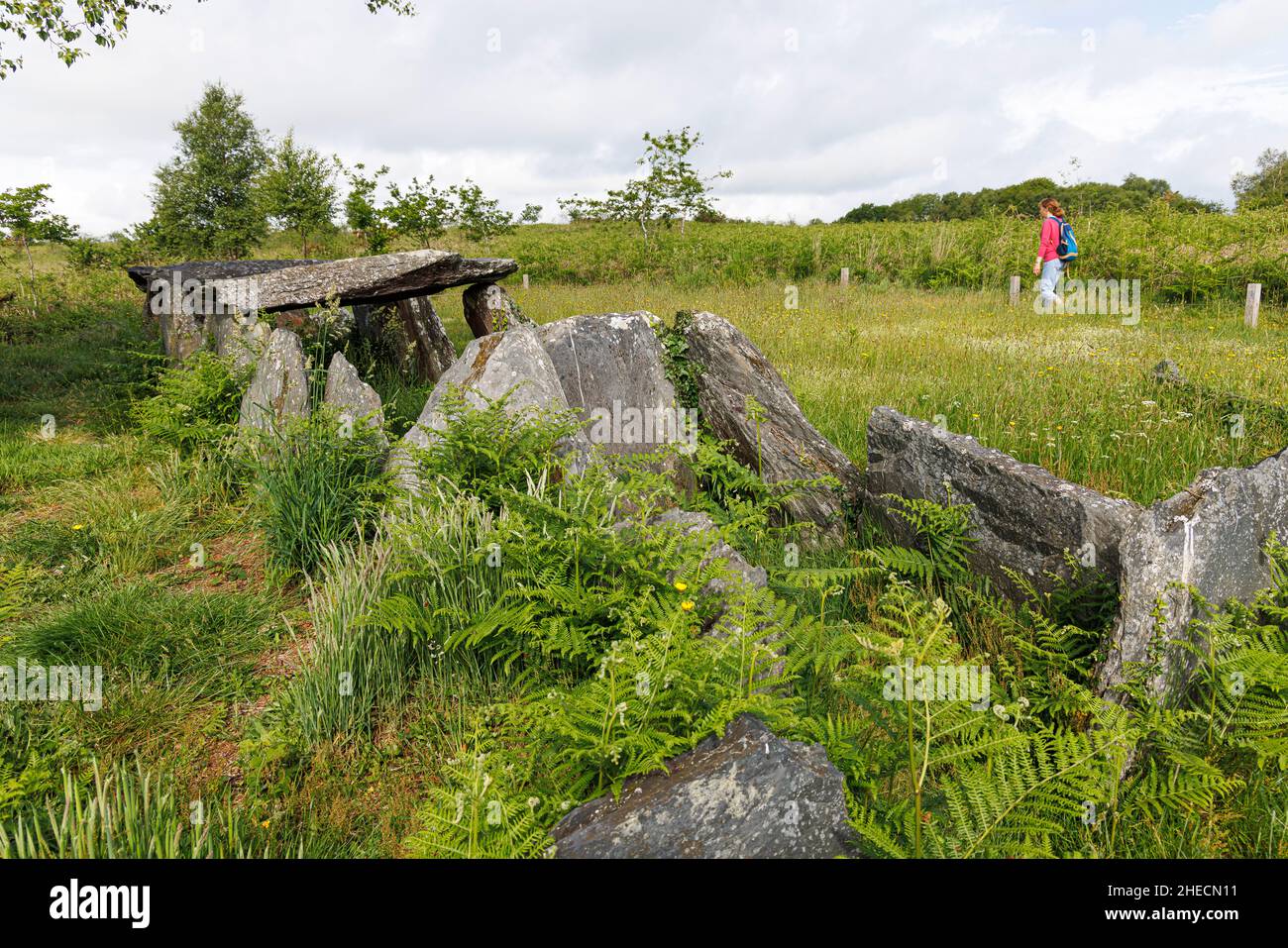 France, Côtes d'Armor, Laniscat, Liscuis Moor, dolmen Banque D'Images