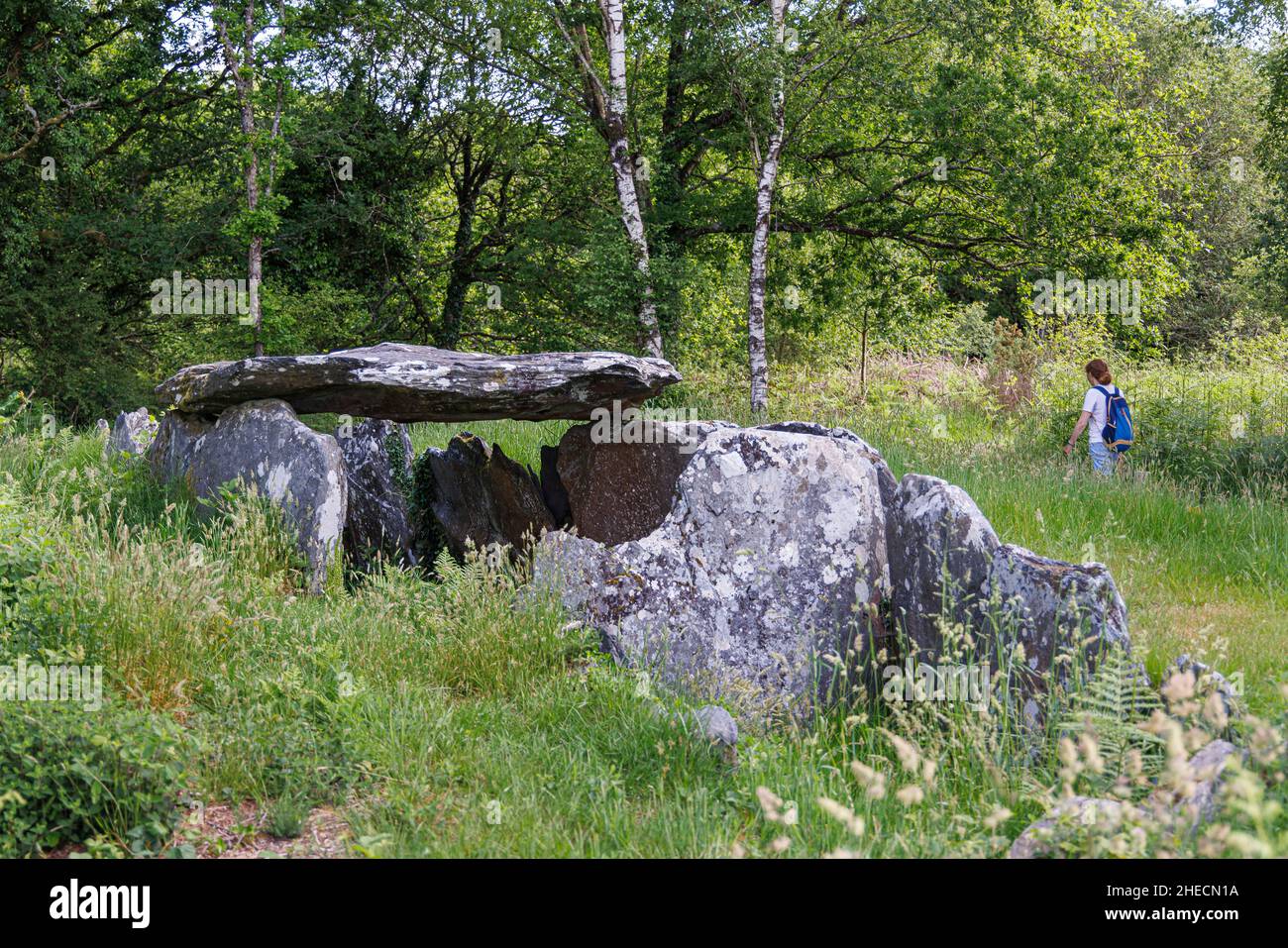 France, Côtes d'Armor, Laniscat, Liscuis Moor, dolmen Banque D'Images
