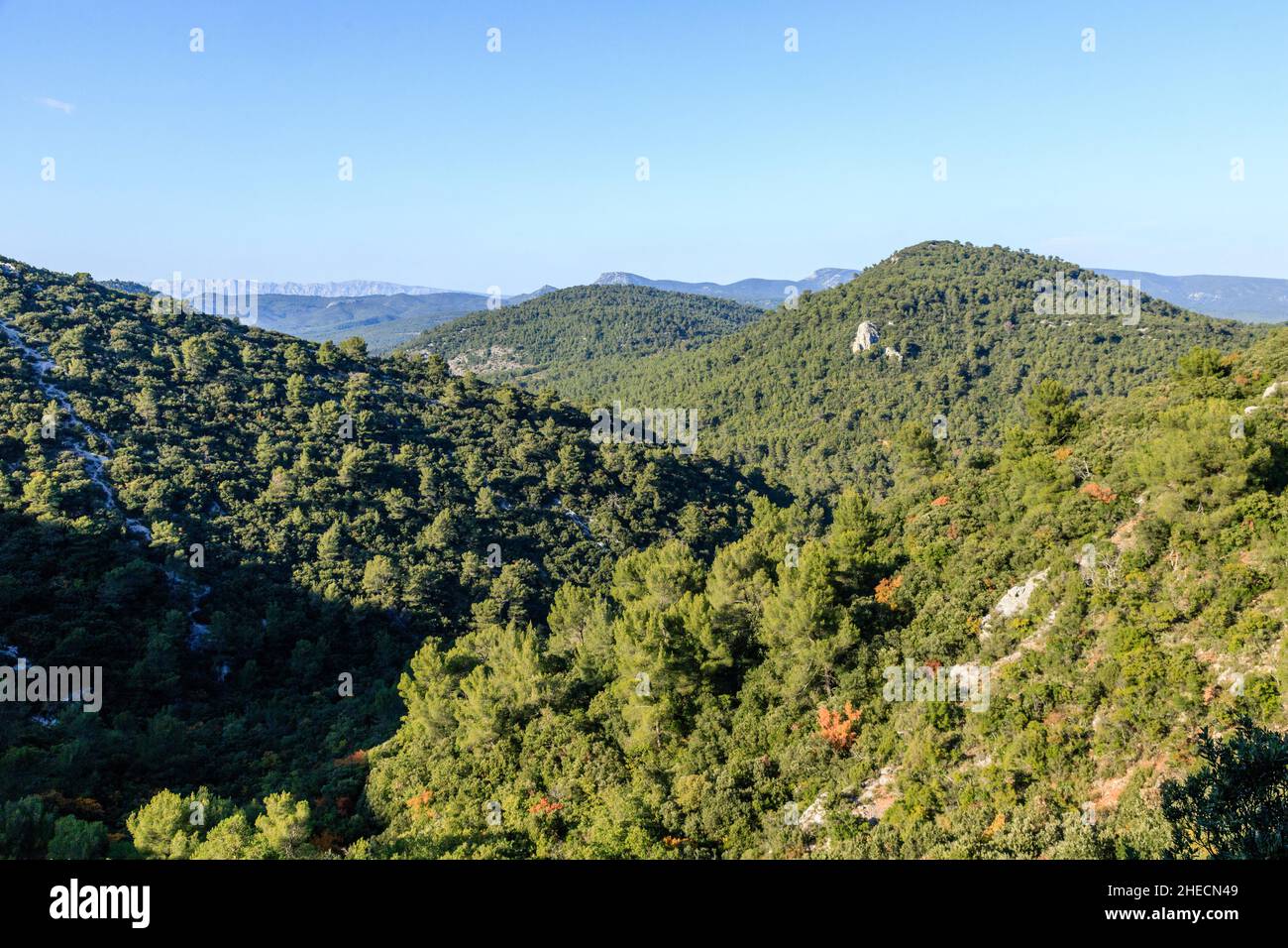 France, Var, Parc naturel régional de Sainte Baume, massif de la Sainte Baume, Forêt d'État de Sainte Baume, Gorges de l'Huveaune // France, Var (83), Parc Banque D'Images