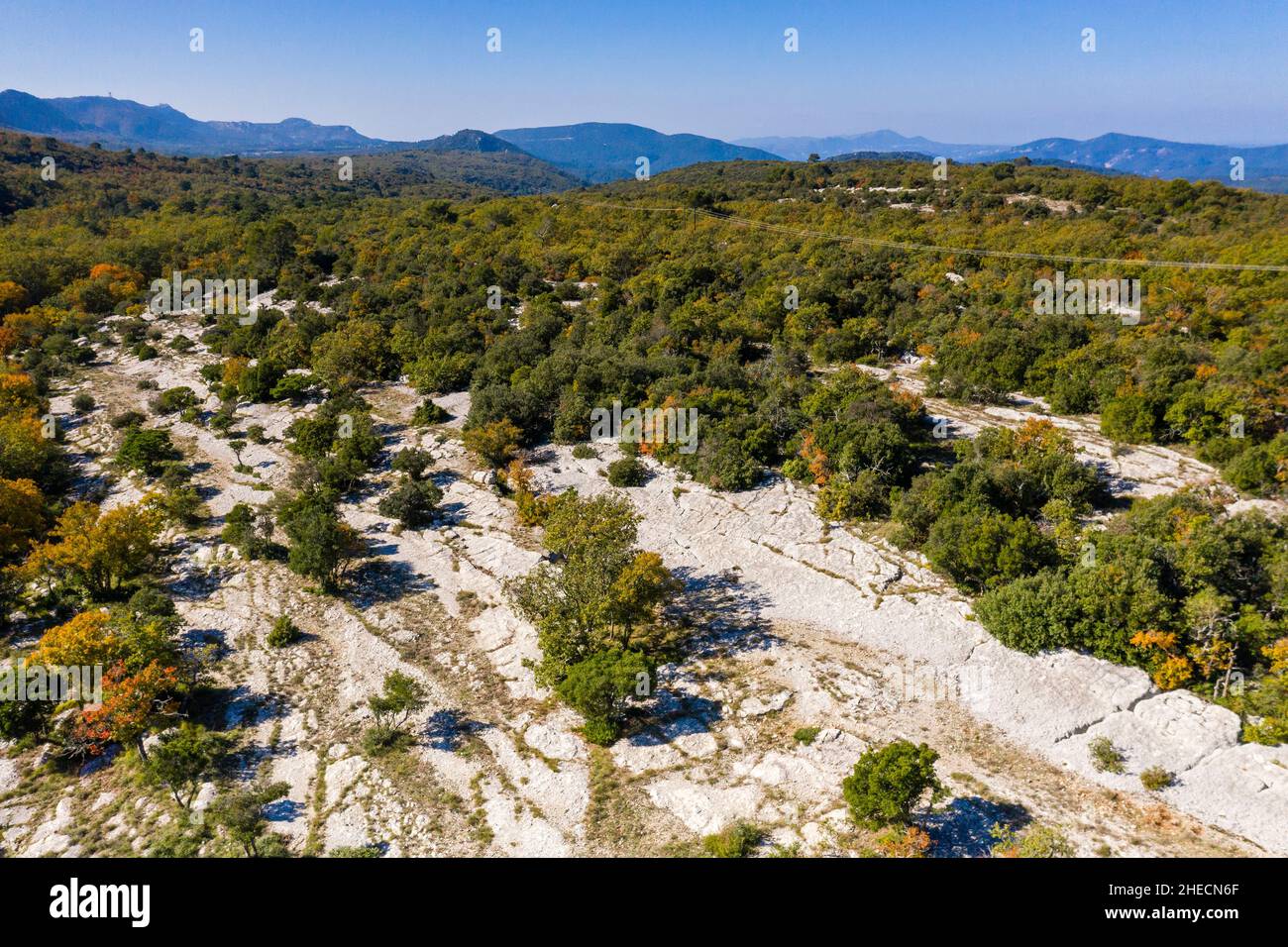 France, Var, Parc naturel régional de Sainte Baume, massif de la Sainte Baume, Forêt nationale de Sainte Baume, forêt de chênes et affleurements calcaires (vue aérienne) Banque D'Images