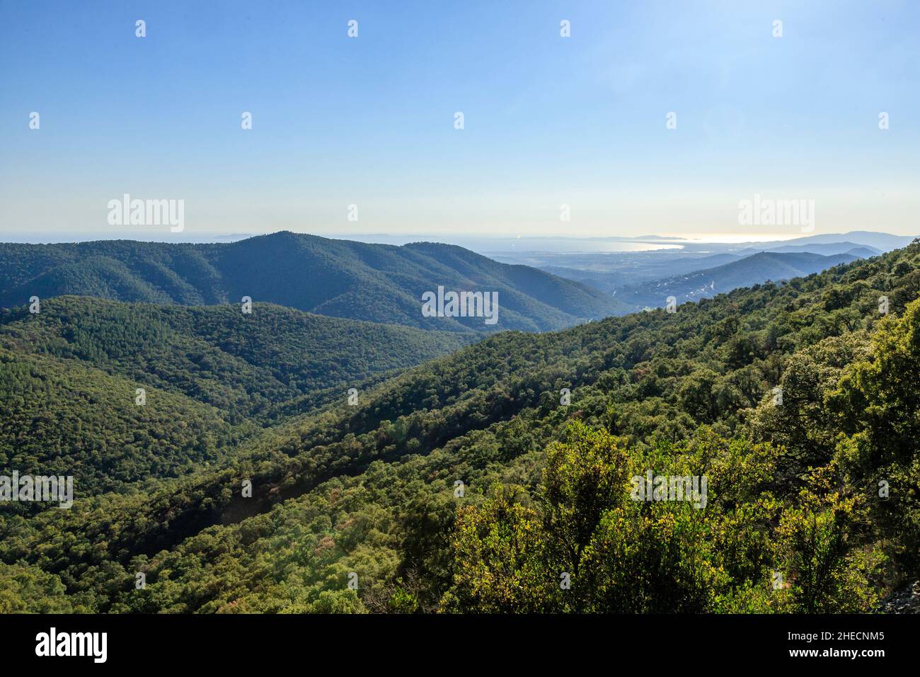France, Var, massif des Maures, la Londe les Maures, massif forestier et mer Méditerranée loin du col de Babaou // France, Var (83), massif Banque D'Images