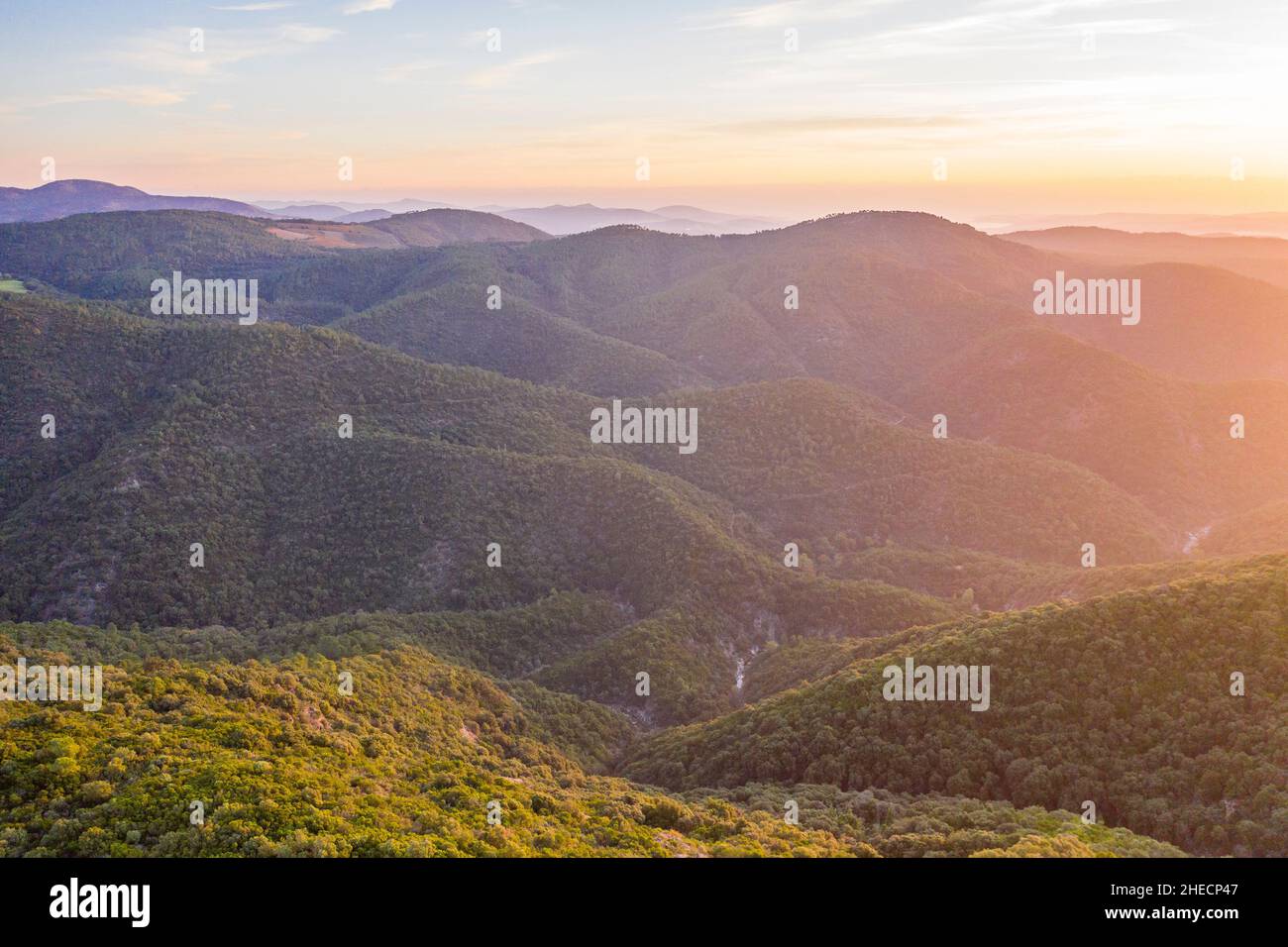 France, Var, massif des Maures, Collobrières, massif forestier au lever du soleil (vue aérienne) // France, Var (83), massif des Maures, Collobrières, massif avant Banque D'Images