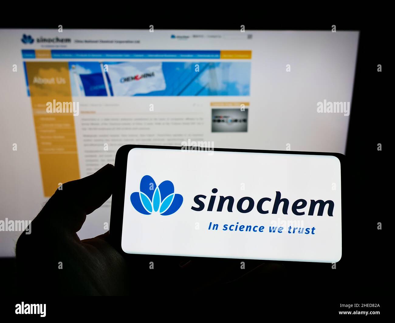 Personne tenant un téléphone portable avec le logo de la société chinoise de produits chimiques Sinochem Corporation à l'écran en face de la page Web.Mise au point sur l'affichage du téléphone. Banque D'Images