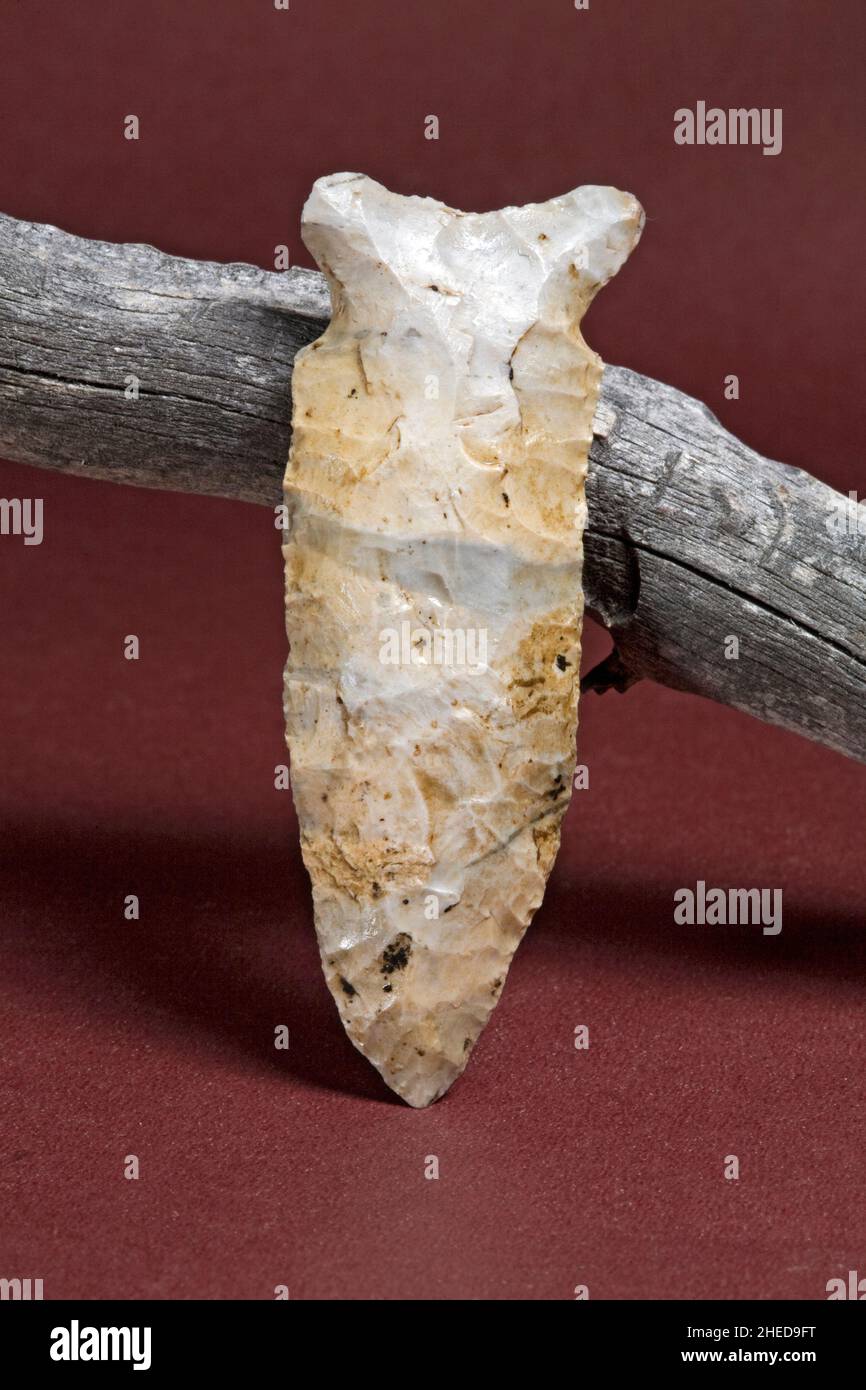 Un point de projectile préhistorique et précolombien connu sous le nom de point de Graham Cave, fabriqué à partir de chert environ 5000 av. J.-C. dans ce qui est maintenant le centre de l'Arkansas.C'était Banque D'Images