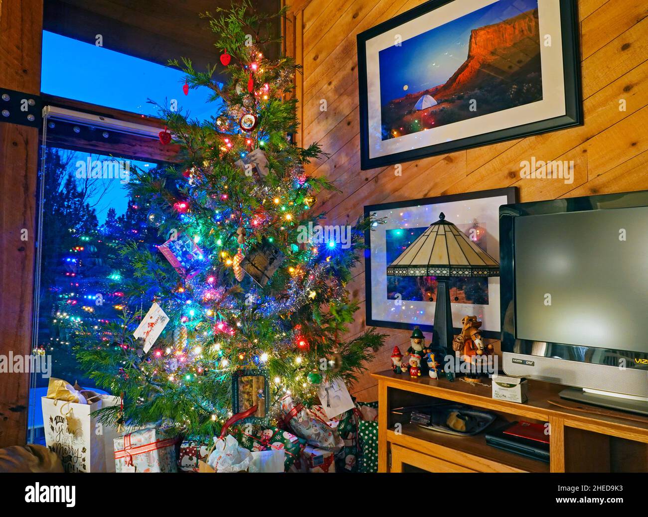Portrait d'un arbre de Noël entièrement décoré dans un salon résidentiel à Bend, Oregon.L'arbre est un cèdre de l'encens. Banque D'Images