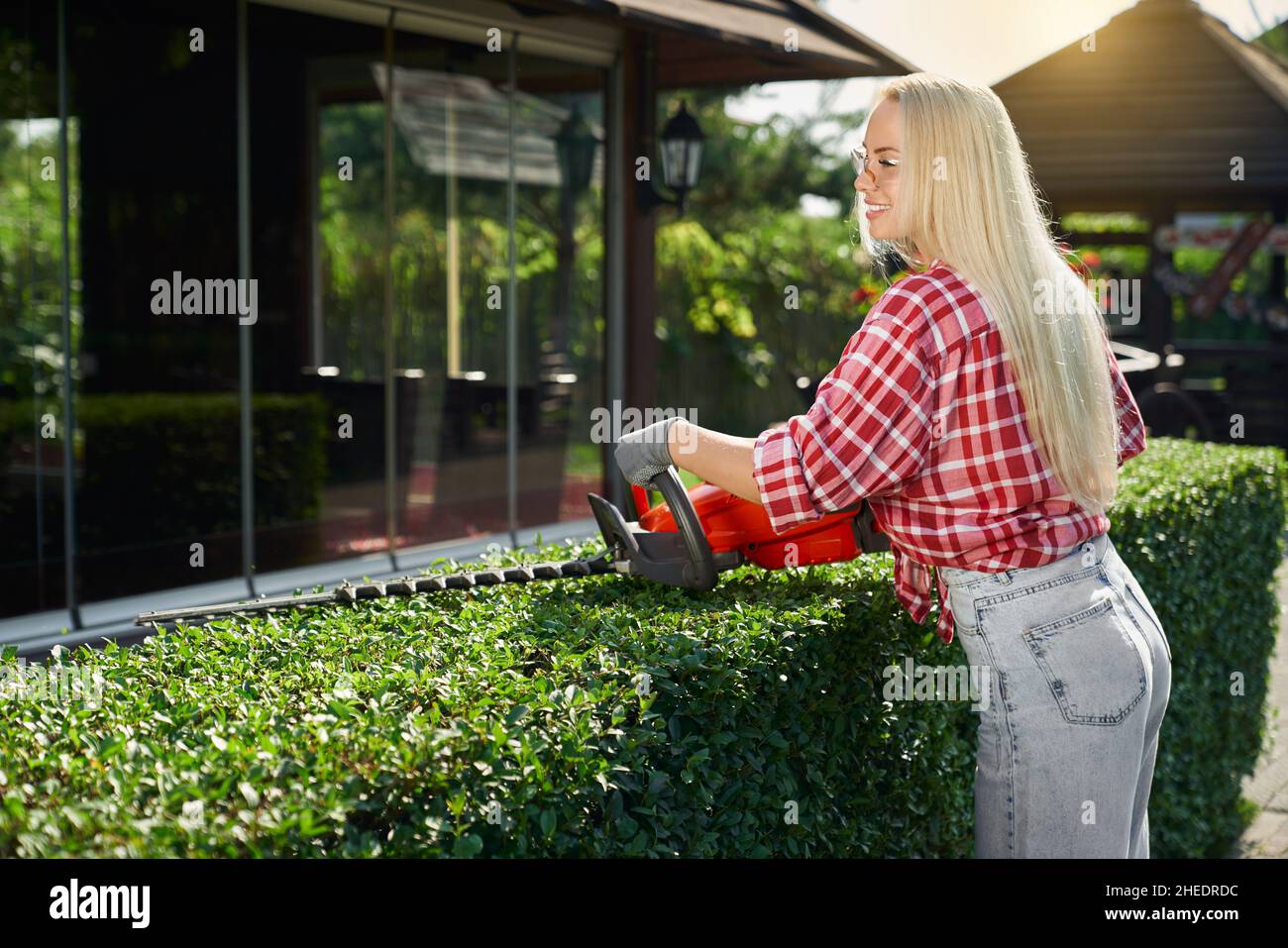 Vue latérale d'une femme caucasienne positive avec des cheveux blonds utilisant une tondeuse électrique pour façonner des buissons trop grands sur la cour arrière.Femme jardinière portant des vêtements décontractés, des lunettes de protection et des gants. Banque D'Images