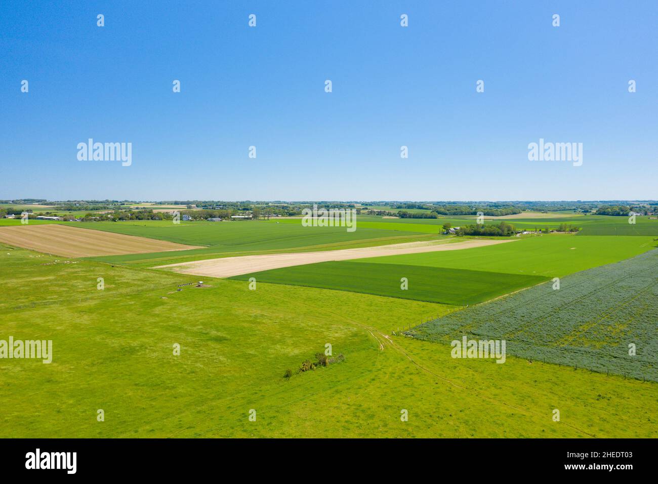 Cette photo de paysage a été prise en Europe, en France, en Normandie, près de Deauville, en été.Nous voyons la campagne normande et ses champs de lin et de barle Banque D'Images