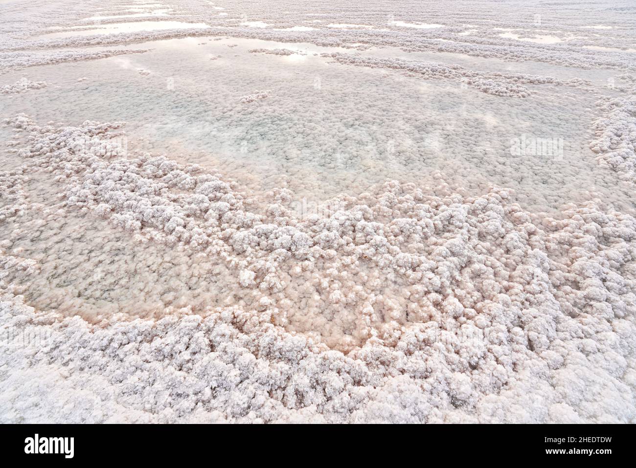 Plage de sel cristallin éclairée par le soleil du matin, petits flaques d'eau de mer à la mer Morte - le lac hypersaline le plus mondial Banque D'Images