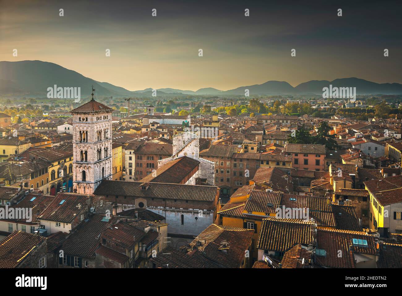 Lucca vue panoramique vue aérienne de la ville San Michele in Foro et cathédrale au coucher du soleil. La Toscane, Italie, Europe. Banque D'Images