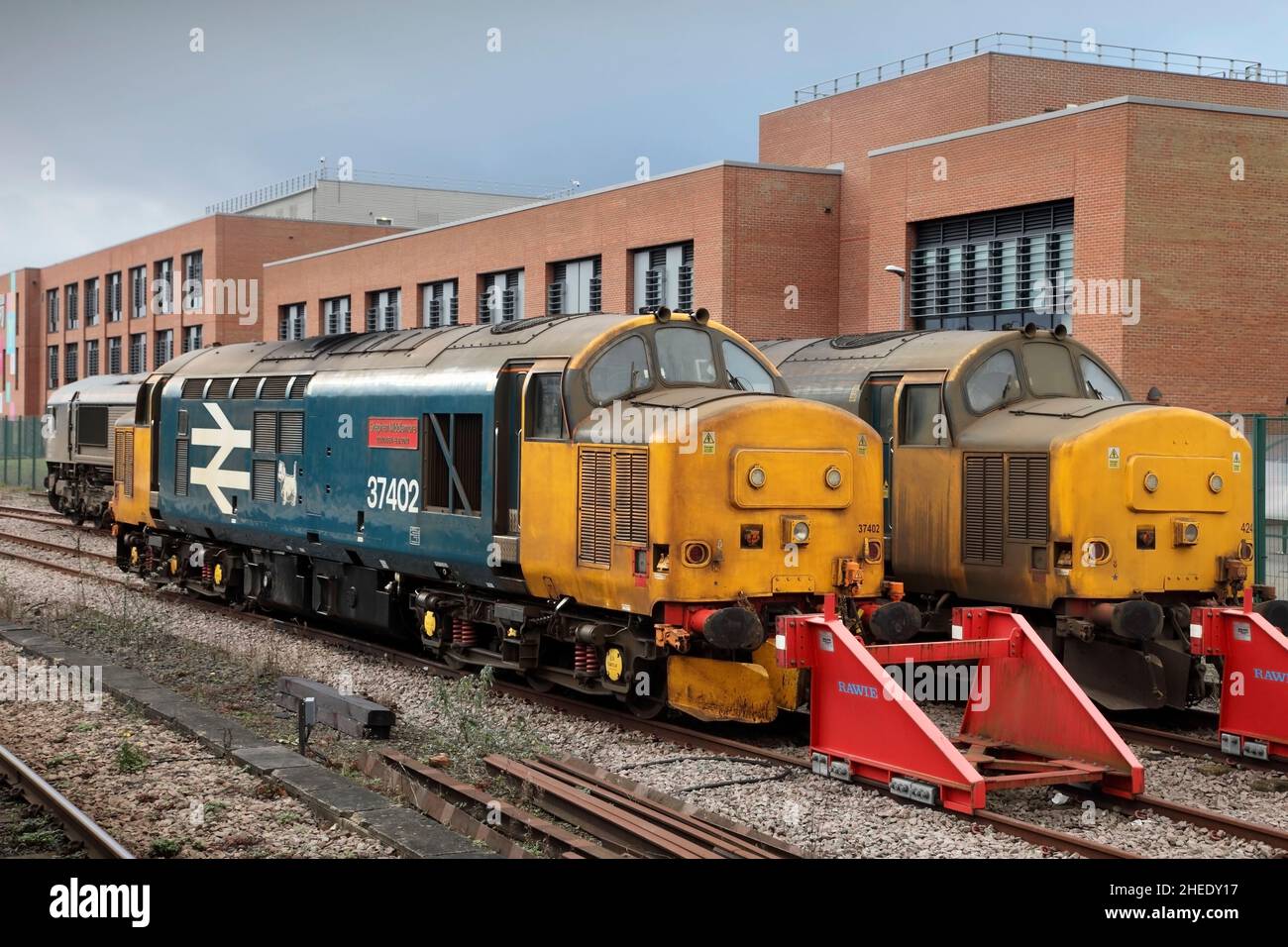 Les locomotives diesel-électriques 37402 et 37424 de la classe 37 de Direct Rail Services ont été stablées à York (Royaume-Uni) le 30/12/2021. Banque D'Images