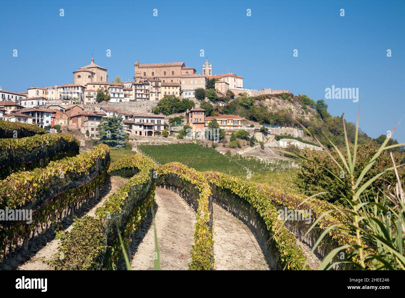 La ville de la Morra sous un ciel bleu dans la région viticole du Langhe dans la région Piémont du nord de l'Italie Banque D'Images