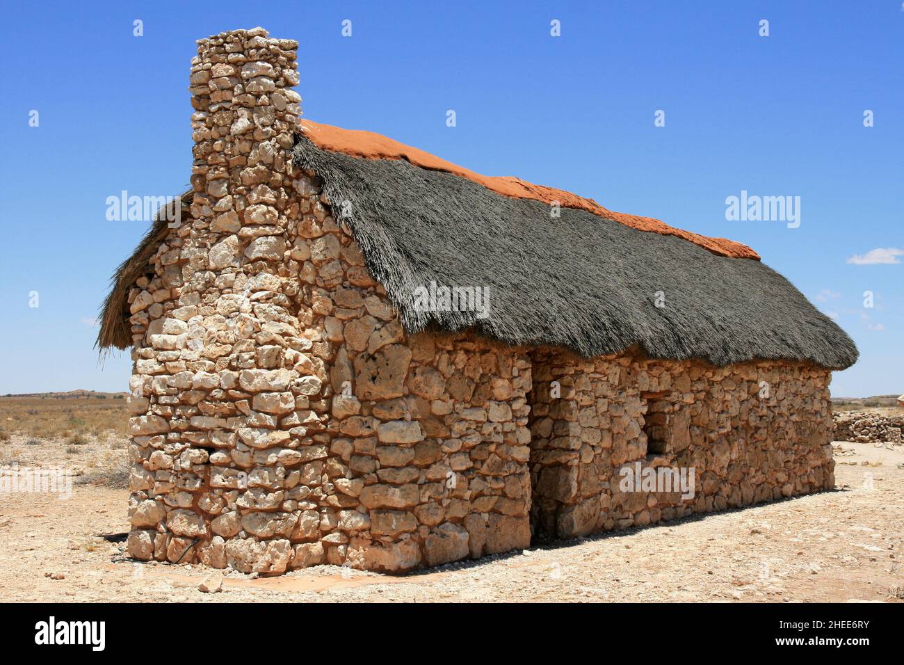 Auchterlonie dans le parc transfrontalier de Kgalagadi, Afrique du Sud Banque D'Images