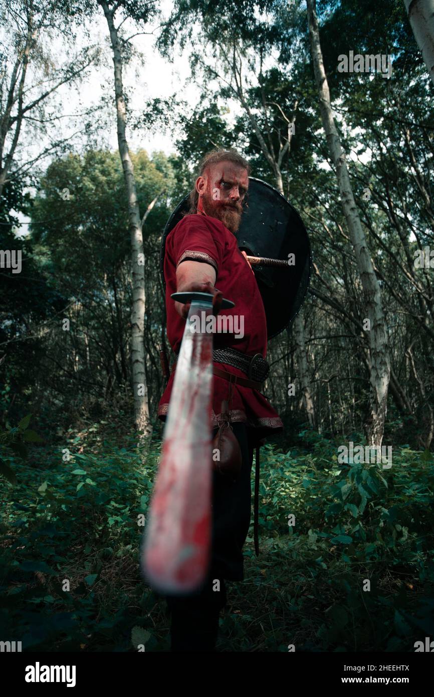 Vue latérale d'un homme intrépide défendant avec bouclier et d'une épée à la caméra lors de la reconstruction médiévale viking dans la forêt Banque D'Images