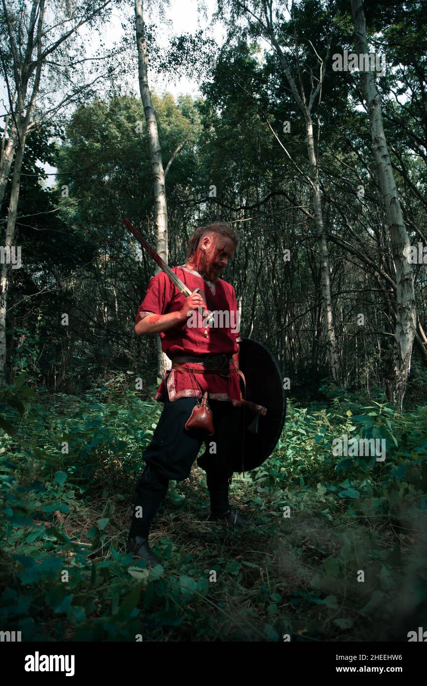 Vue latérale d'un homme intrépide défendant avec bouclier et d'une épée à la caméra lors de la reconstruction médiévale viking dans la forêt Banque D'Images