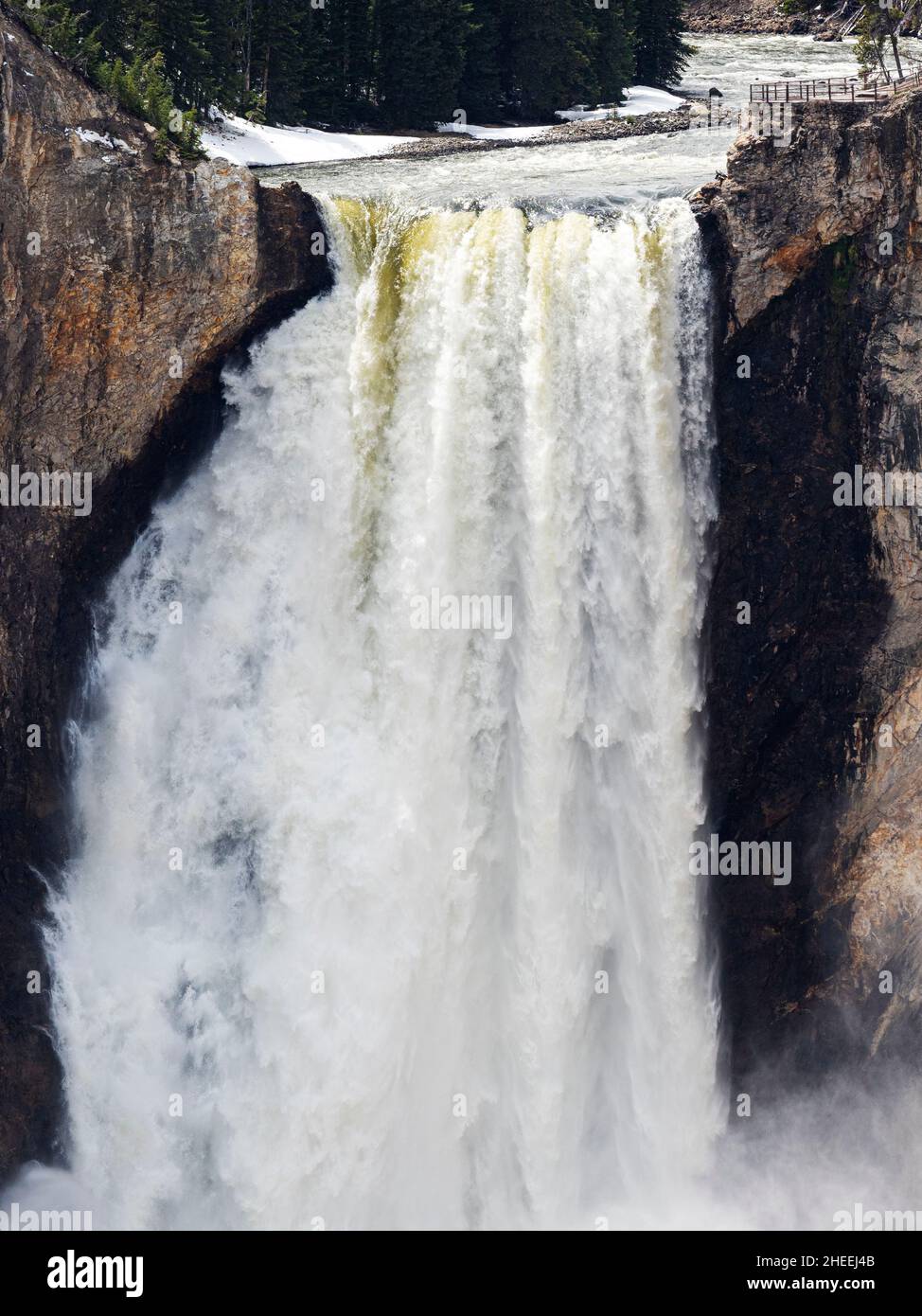 Les chutes supérieures de Yellowstone dans la rivière Yellowstone, parc national de Yellowstone, Wyoming, États-Unis. Banque D'Images