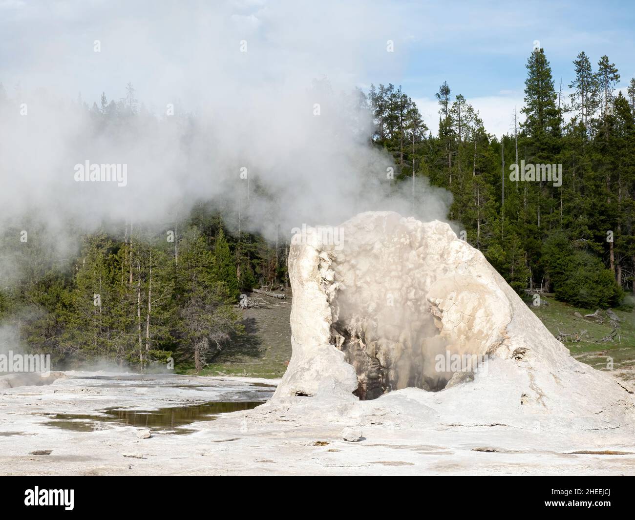 Geyser géante à la vapeur dans le parc national de Yellowstone, Wyoming, États-Unis. Banque D'Images