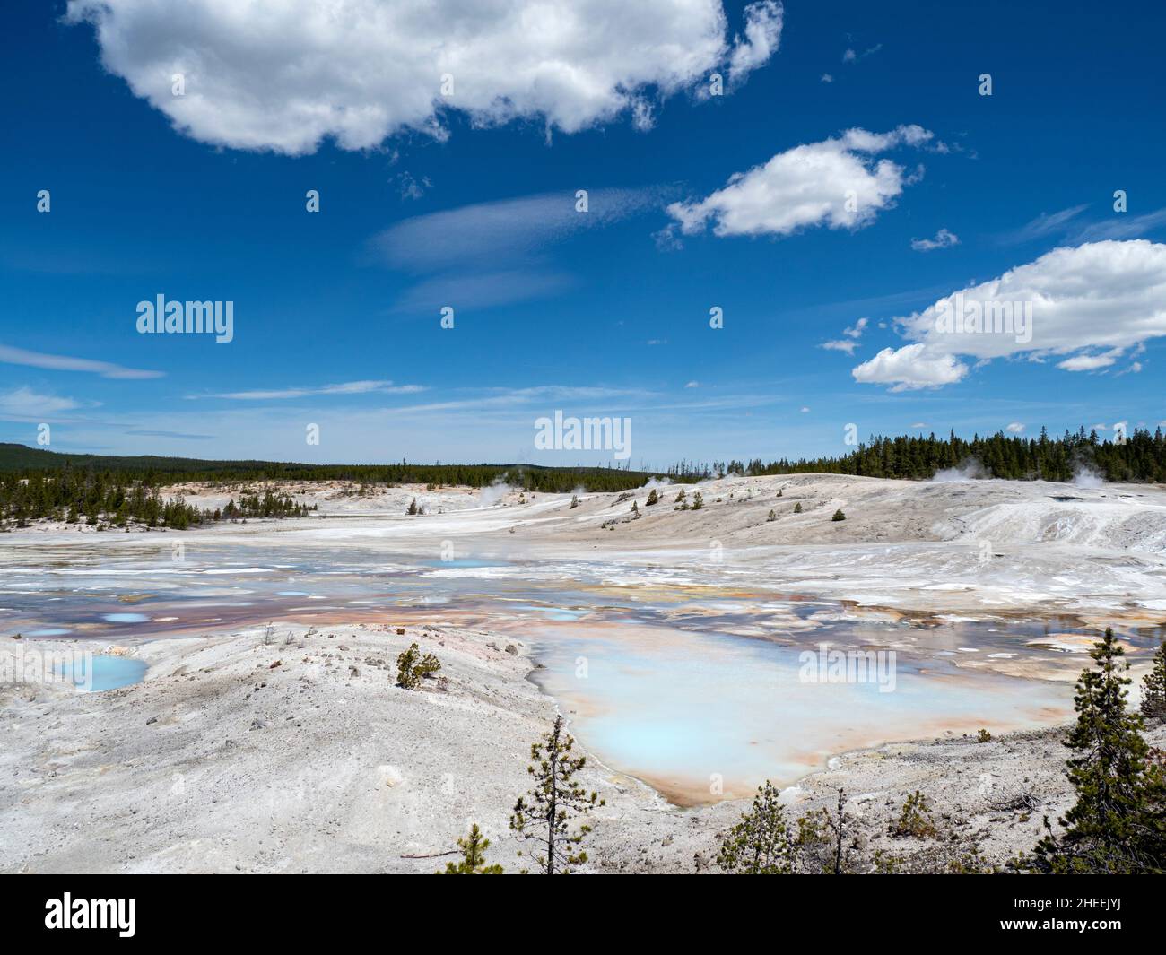 Bassin de porcelaine, dans la région du bassin de Norris Geyser, parc national de Yellowstone, Wyoming, États-Unis. Banque D'Images