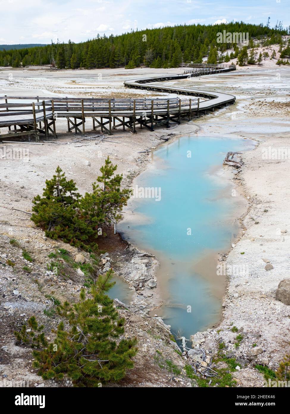 Bassin de porcelaine, dans la région du bassin de Norris Geyser, parc national de Yellowstone, Wyoming, États-Unis. Banque D'Images