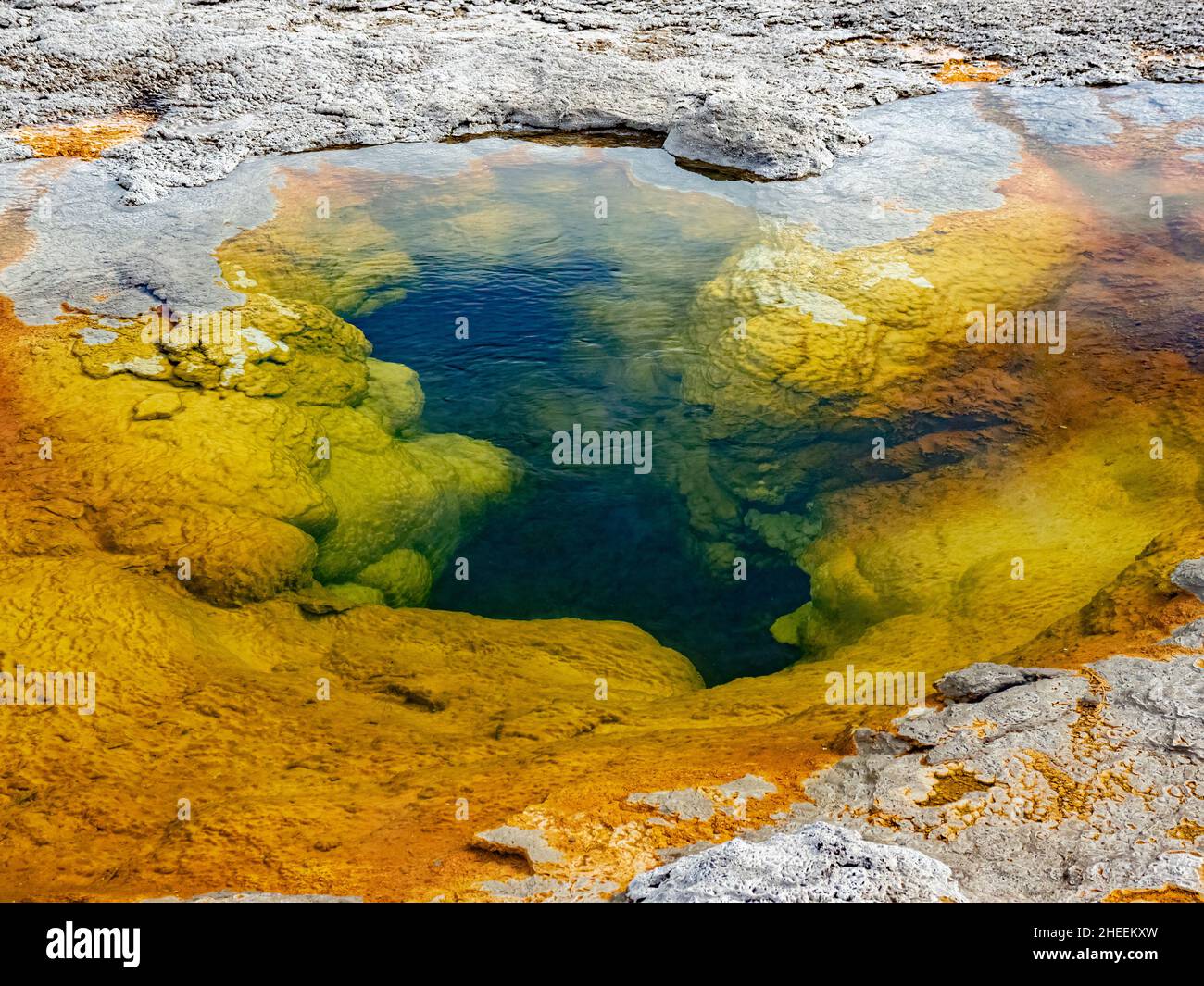 Sspasmodique Geyser, dans la région du bassin de Norris Geyser, parc national de Yellowstone, Wyoming, États-Unis. Banque D'Images