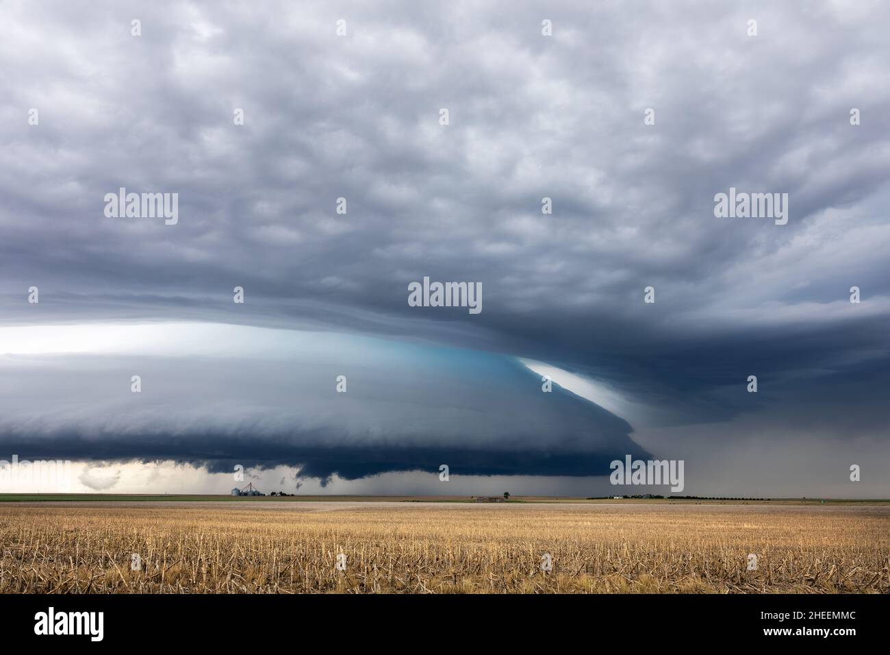 Nuage de plateau (arcus) sur une tempête spectaculaire de supercellules qui s'approche d'un champ à Colby, Kansas, États-Unis Banque D'Images