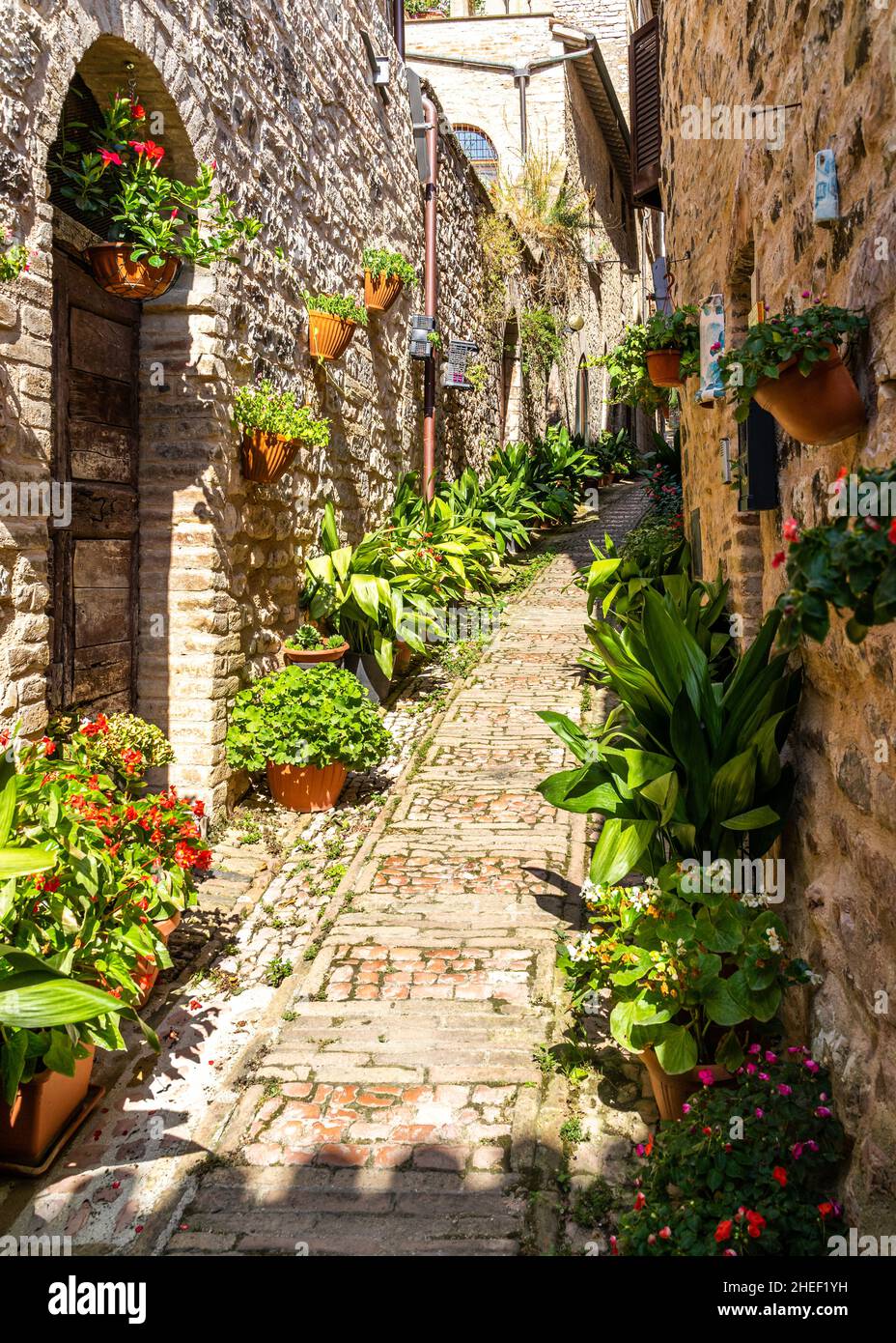 Une allée décorée de fleurs à Spello, l'un des plus beaux villages d'Italie, en Ombrie Banque D'Images