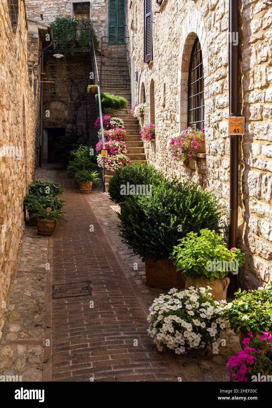 Une rue étroite à Spello, une ville typique située dans la région de l'Ombrie, en Italie Banque D'Images