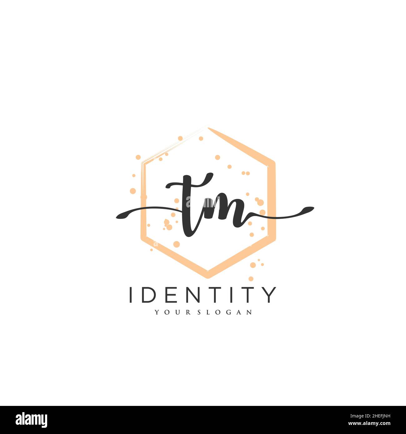 TM logo manuscrite art vectoriel de la signature initiale, mariage, mode, joaillerie, boutique,floral et botanique avec modèle créatif pour n'importe quelle entreprise Illustration de Vecteur