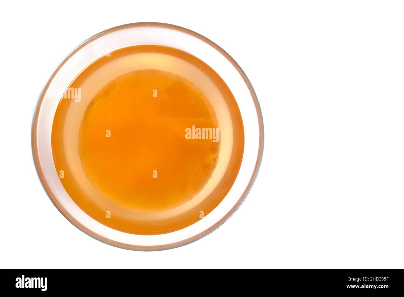 Kombucha dans une tasse en verre sur fond blanc, une vue sur le dessus saine et délicieuse Banque D'Images