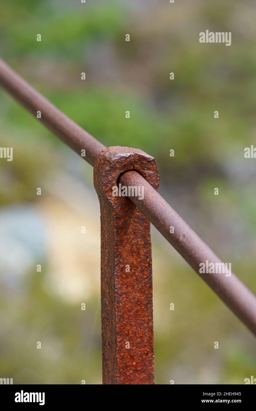 VALLDAL, NORVÈGE - 2020 JUIN 06.Ancienne clôture en acier rouillé dans la forêt. Banque D'Images