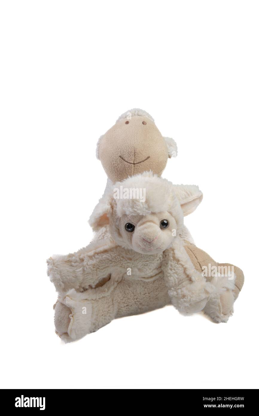 Doux jouets moutons sur fond blanc Banque D'Images